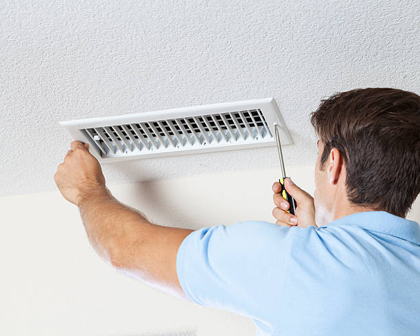 Environmental Consulting for Mold Prevention in Lowell, MI